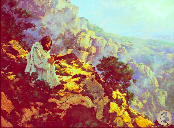 Untitled Project (3)